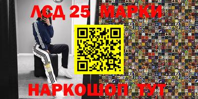 Альфа ПВП Будённовск