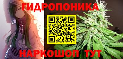 шишки Бузулук