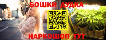 Альфа ПВП Будённовск