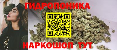 шишки Бузулук